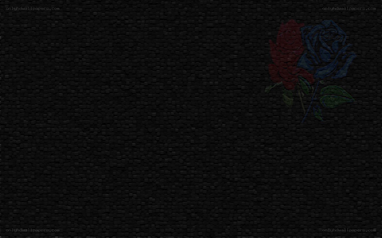 dark textured background with roses