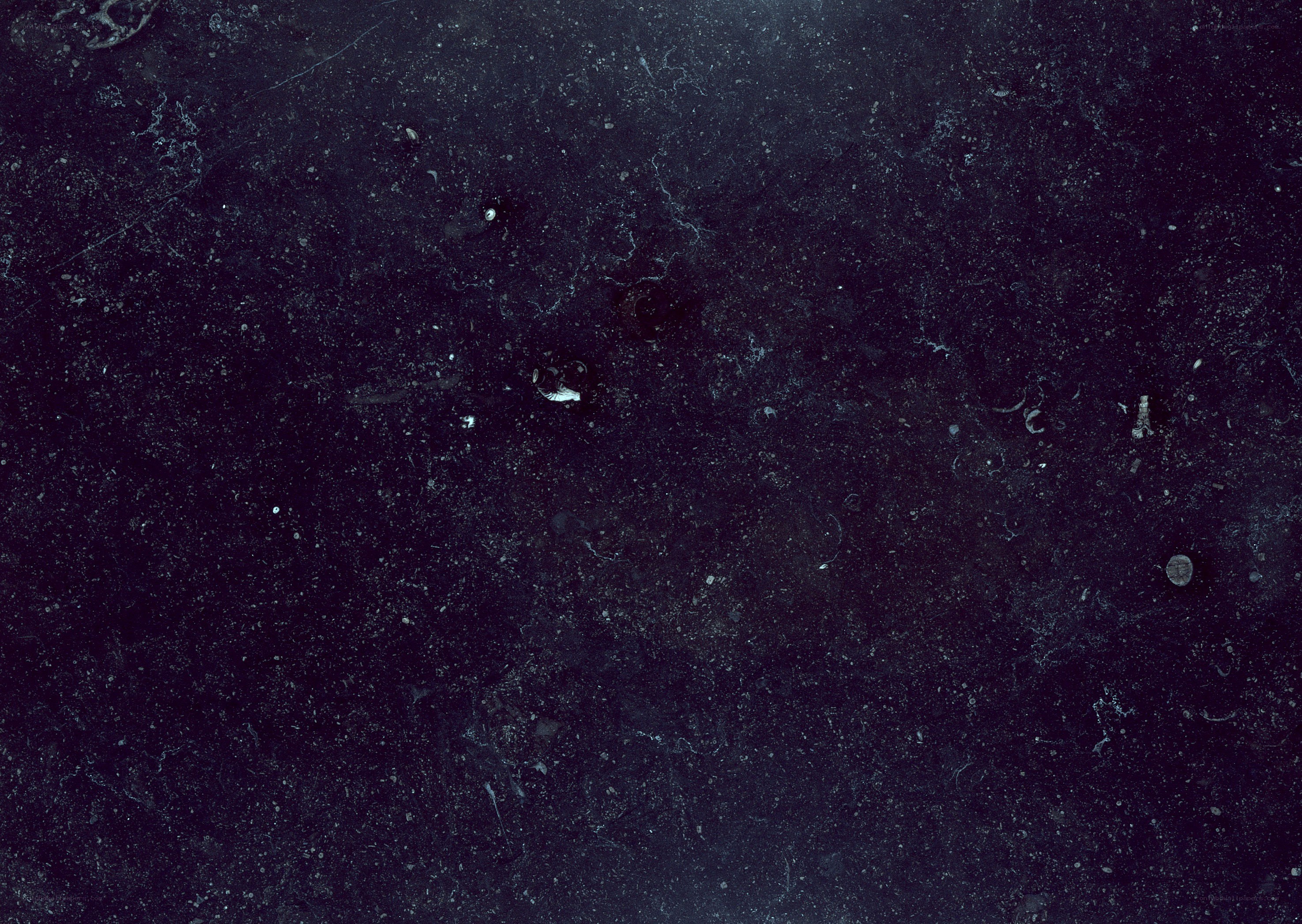 dark textured surface