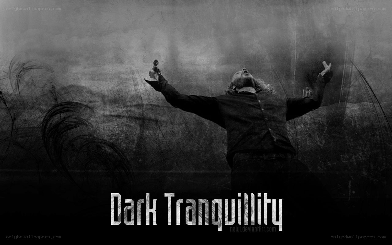 Dark Tranquility artwork