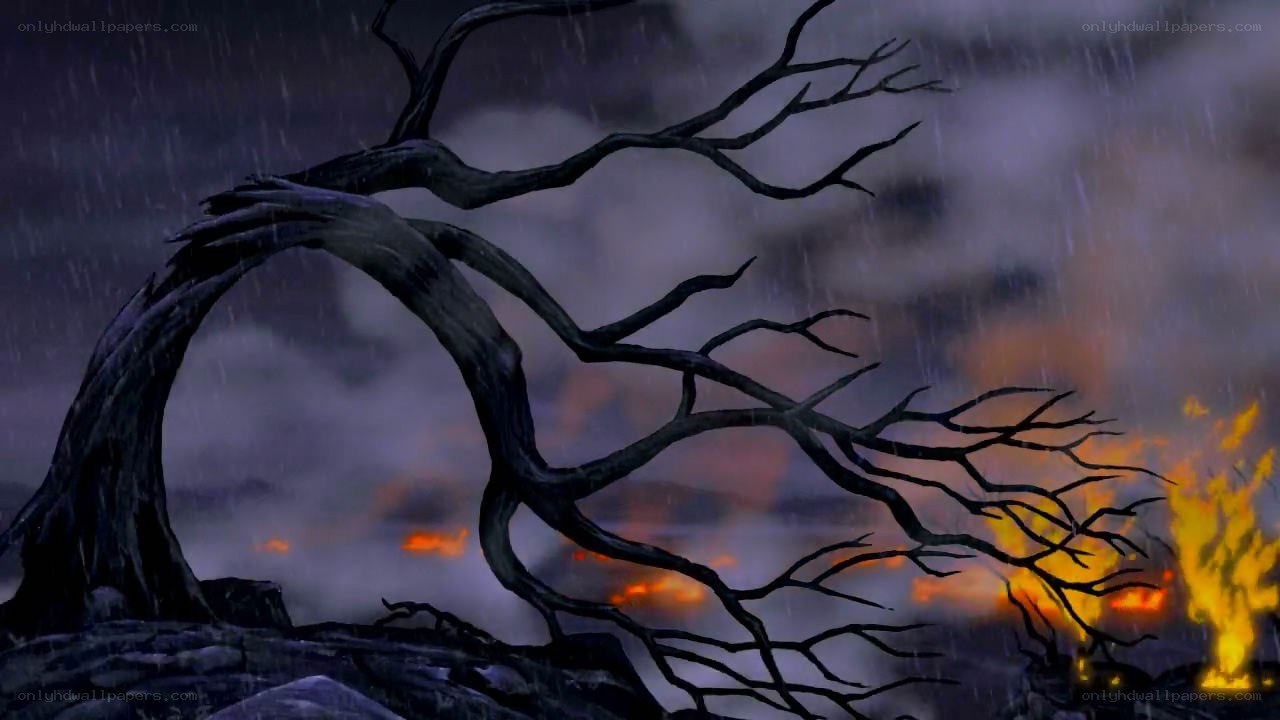 dark tree in stormy landscape