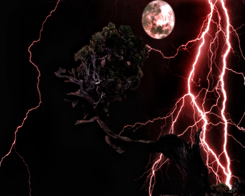 Dark tree under red lightning