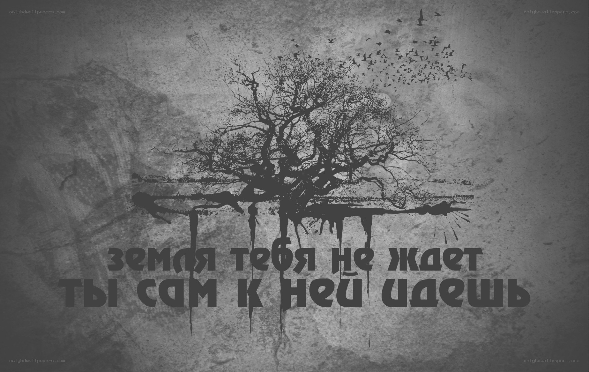 Dark tree with birds and text