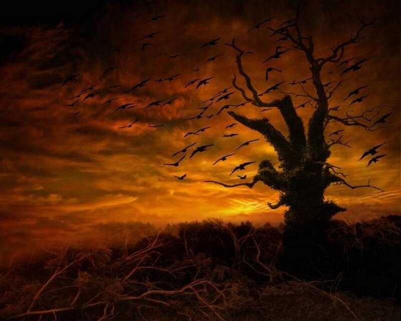 Dark tree with flock of birds