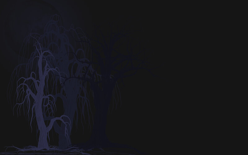 dark trees at night