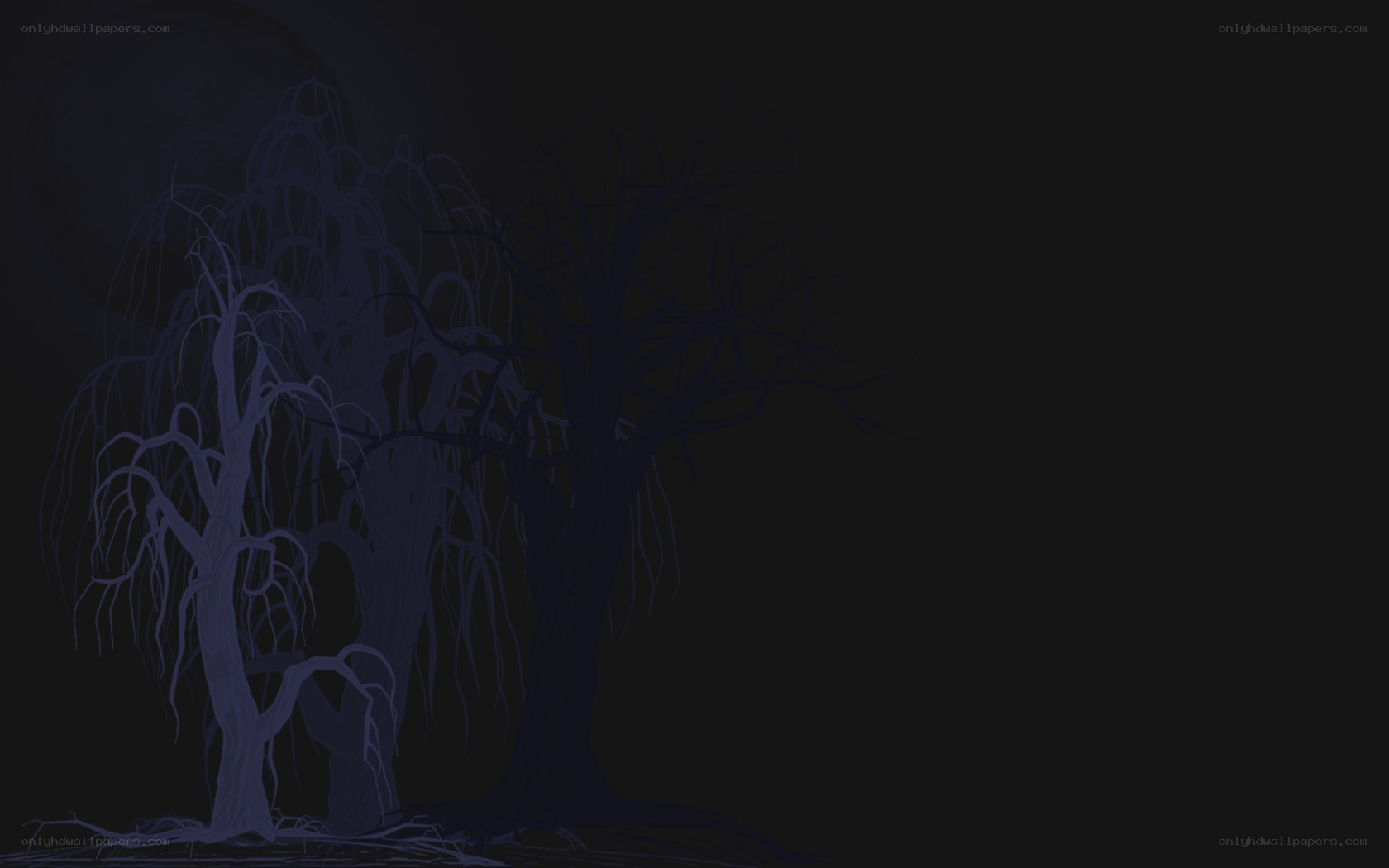 dark trees at night