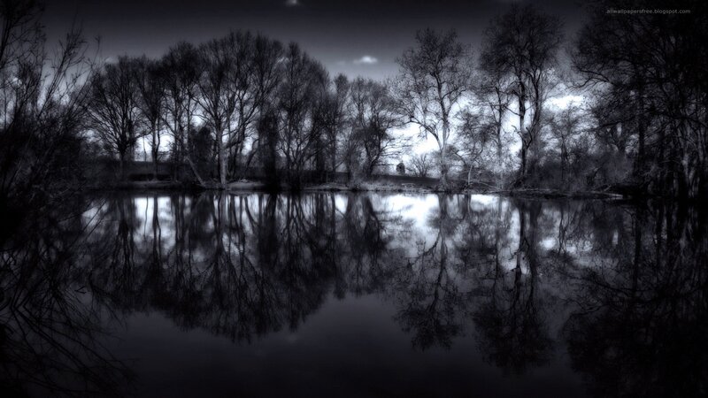 Dark trees reflected in water