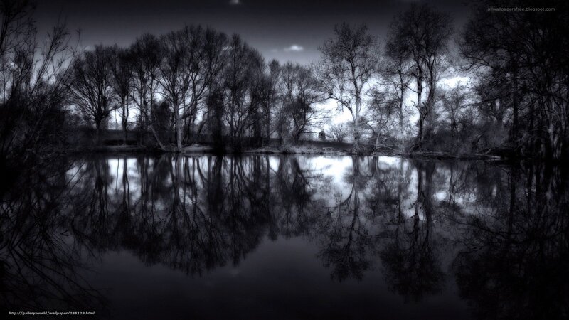 Dark Trees Reflection