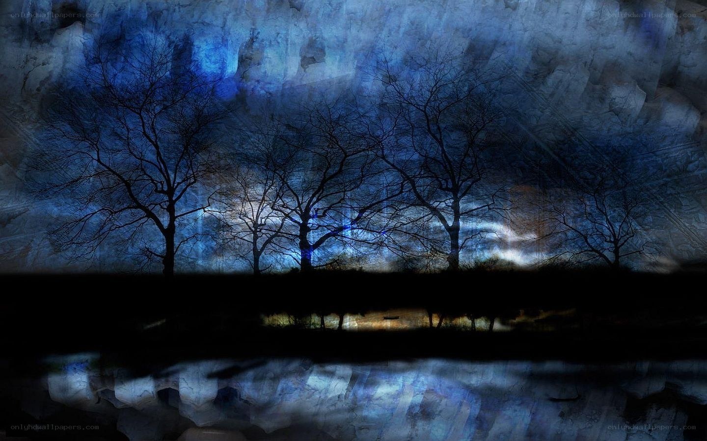 Dark trees under blue sky