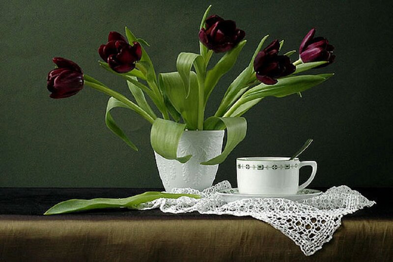 Dark Tulips in Vase