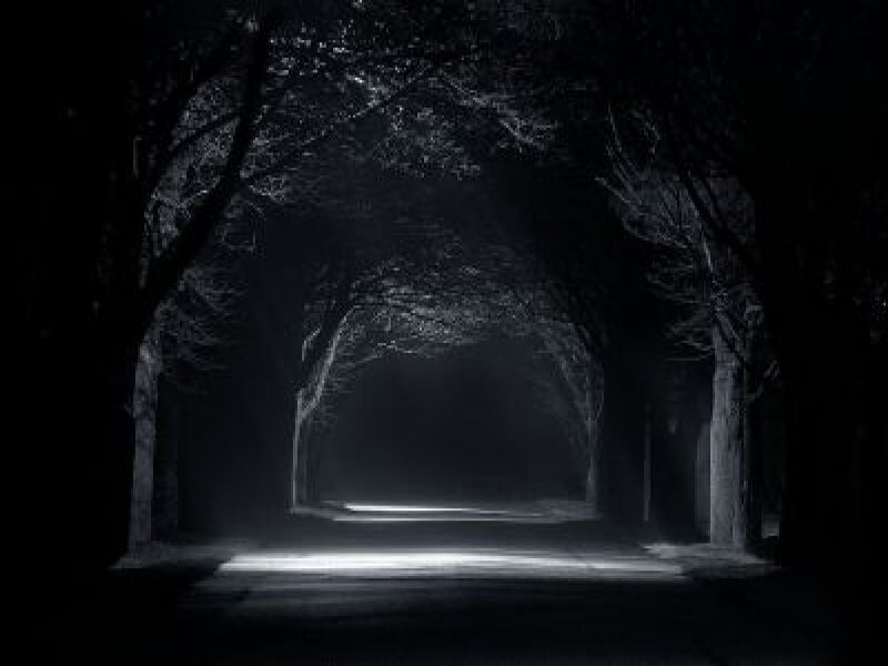 dark tunnel of trees