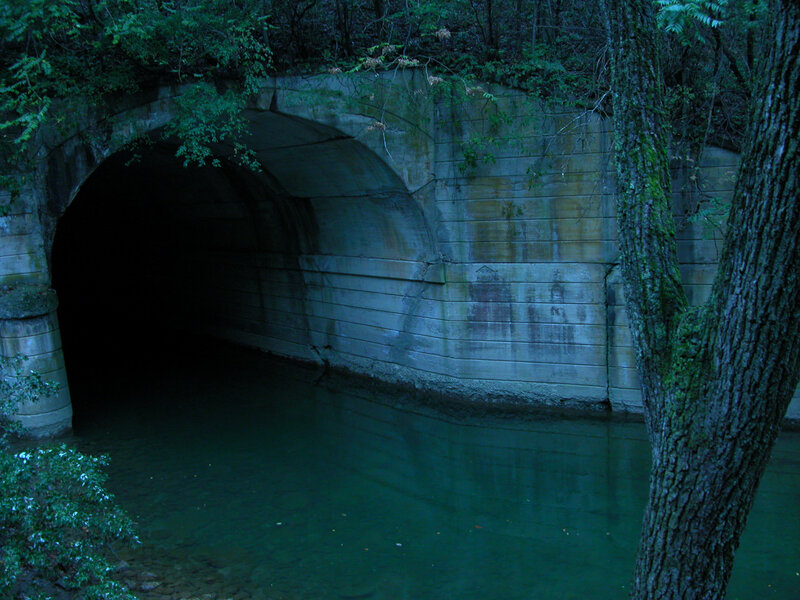 Dark tunnel under a forest stream
