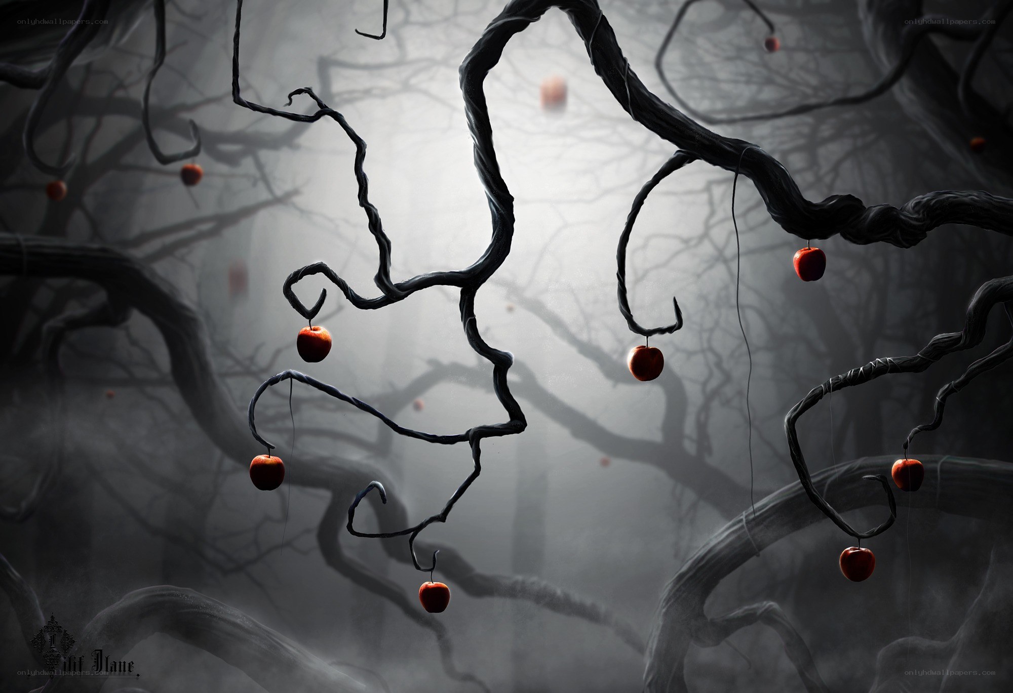 dark twisted tree with red apples