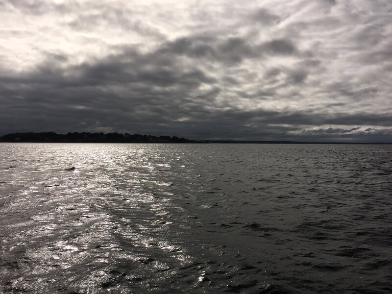 Dark Water under Cloudy Sky — Gray