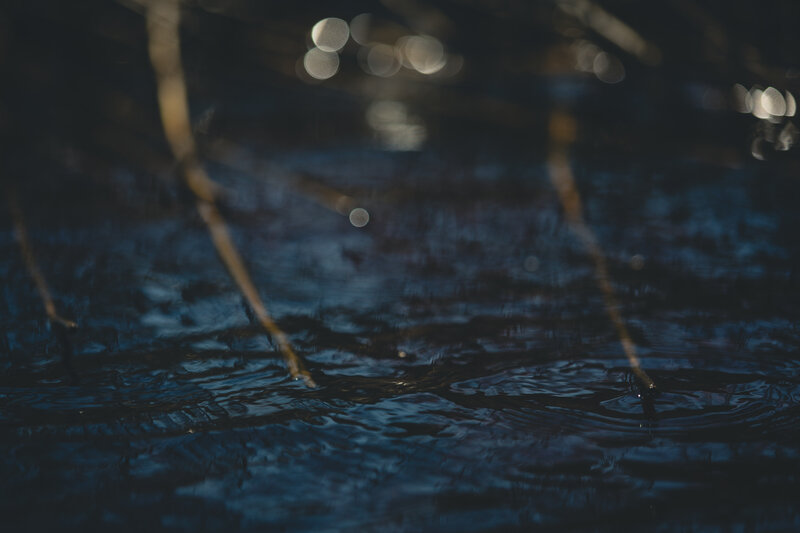 dark water with light reflections