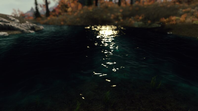 Dark Water with Sunlight