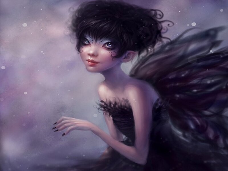 Dark-winged Fairy