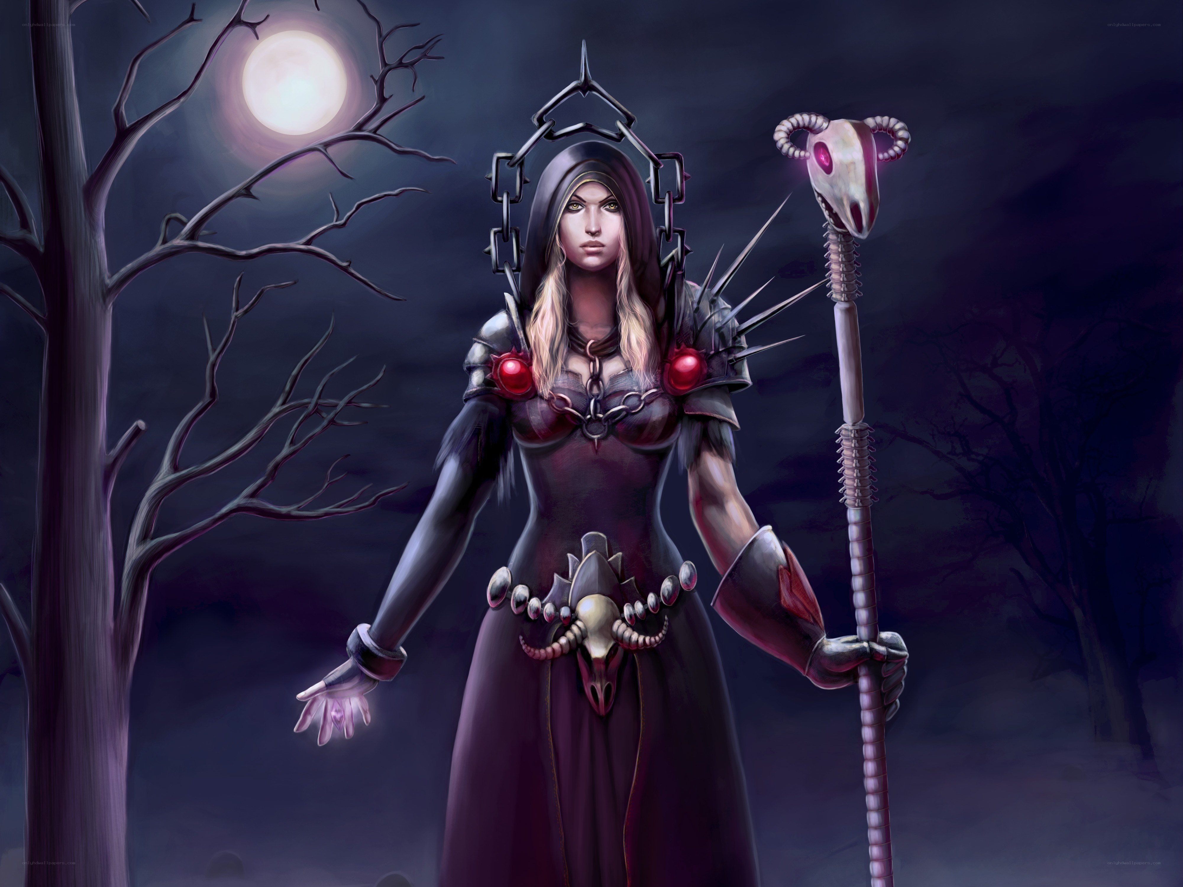 dark witch with staff