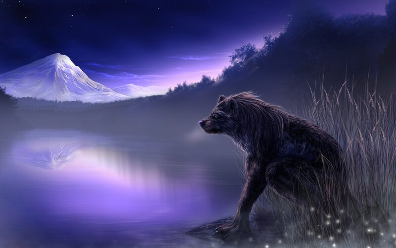 Dark Wolf by Lake — Purple