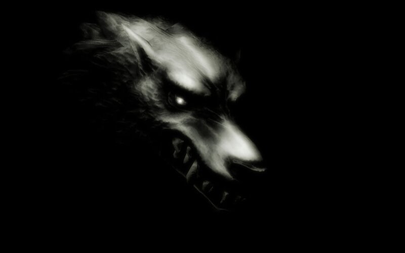dark wolf head portrait