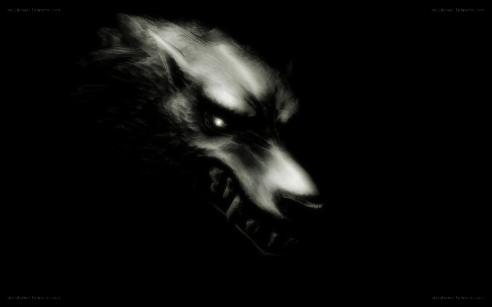 dark wolf head portrait