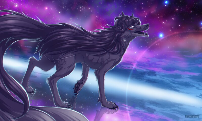 Dark Wolf in Space