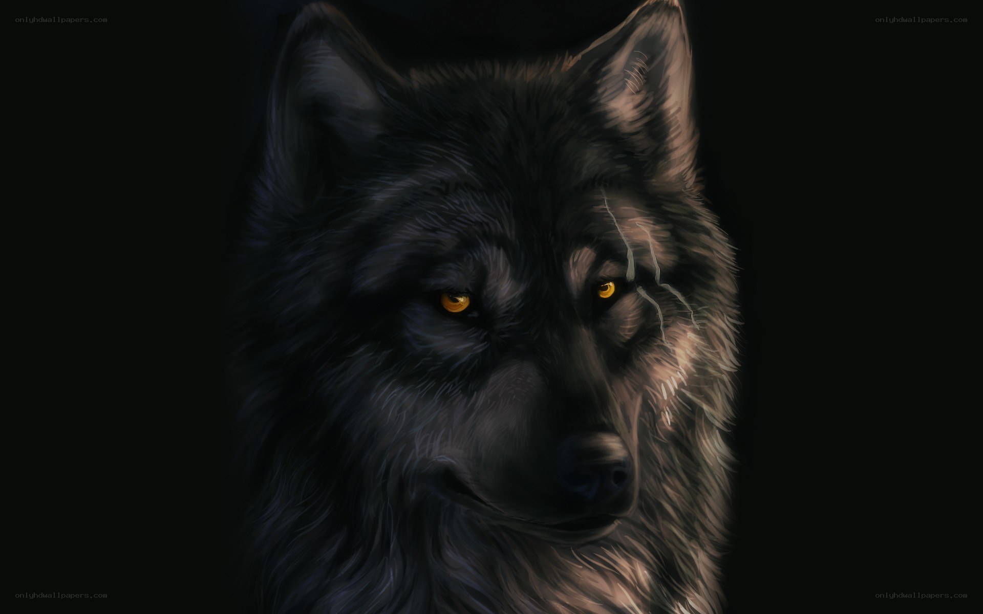 dark wolf with glowing eyes