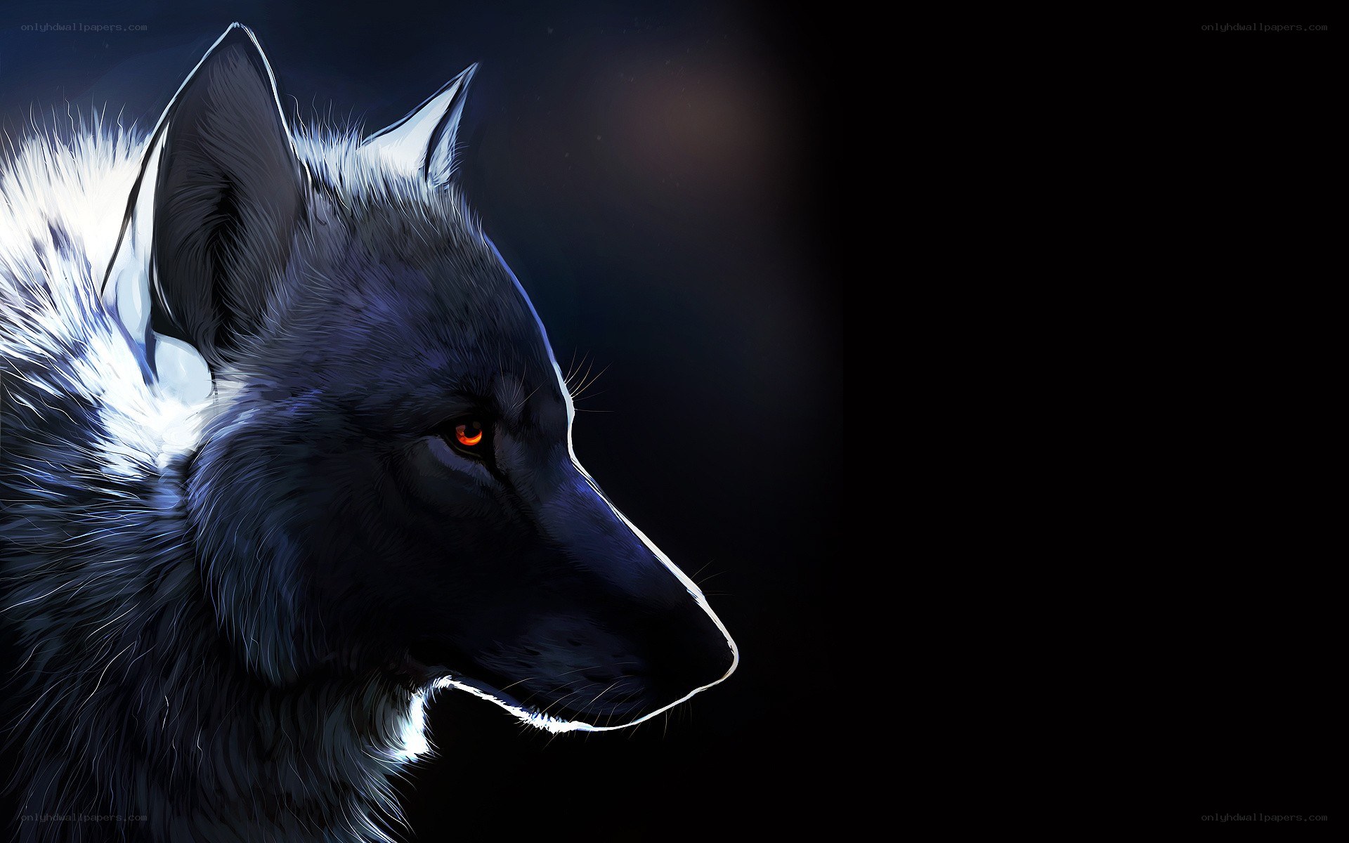 dark wolf with glowing eyes