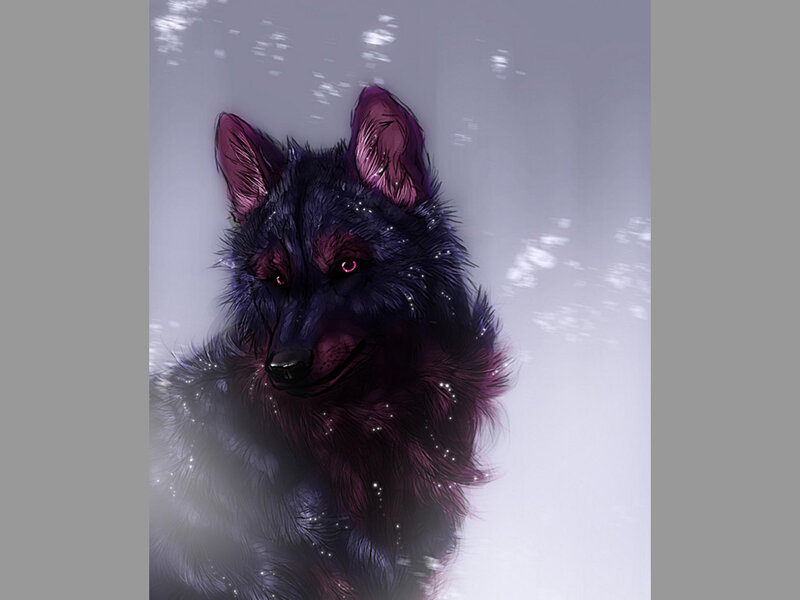 Dark Wolf with Glowing Eyes — Black