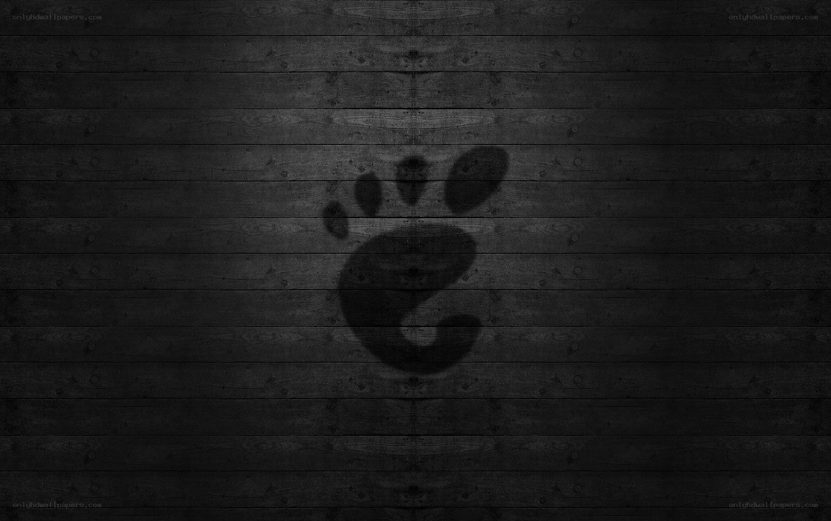 dark wooden background with logo