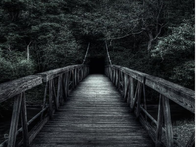 Dark wooden bridge in forest