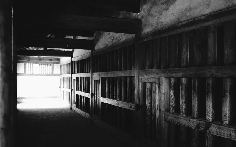Dark wooden corridor interior