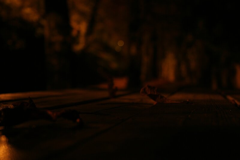 dark wooden surface at night