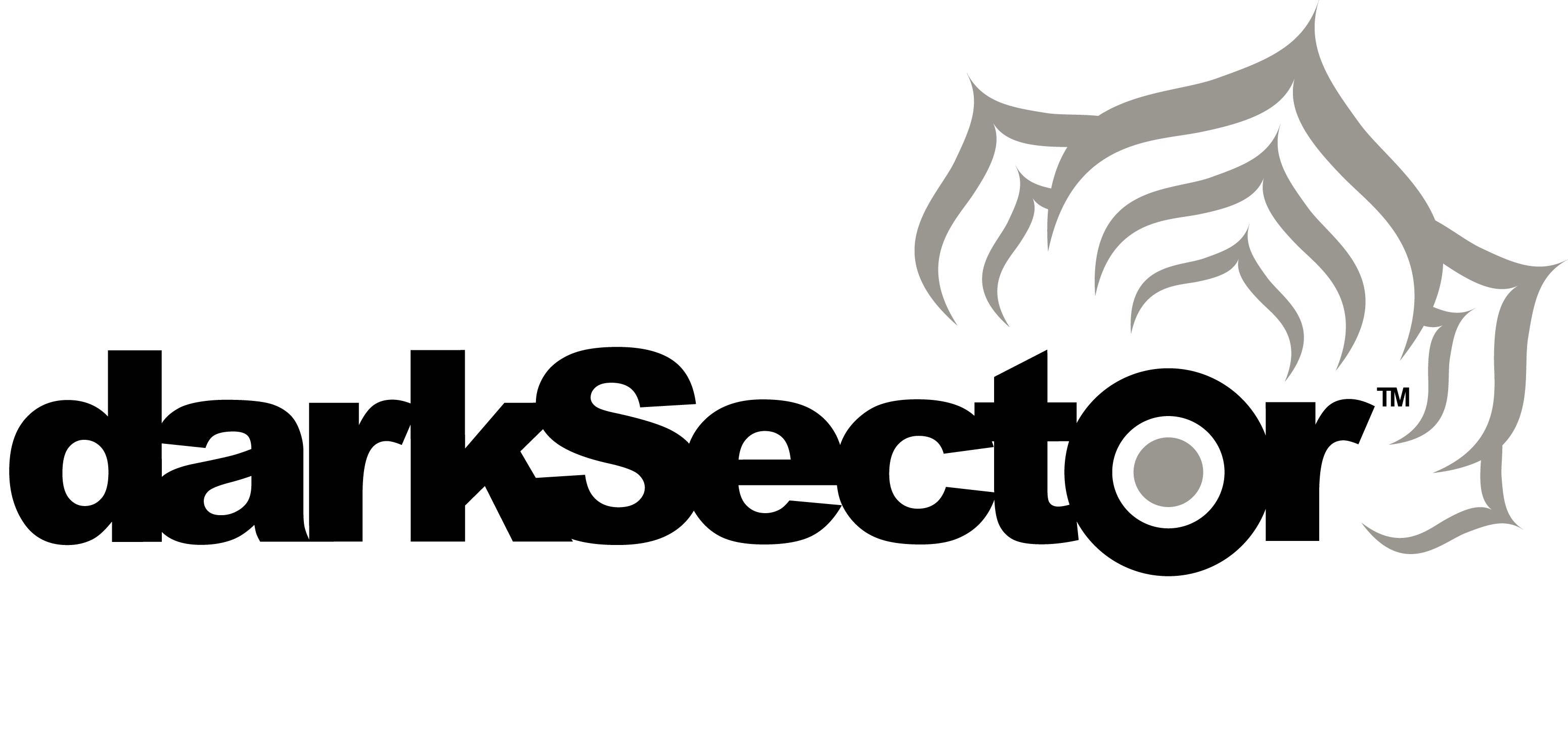 darkSector logo
