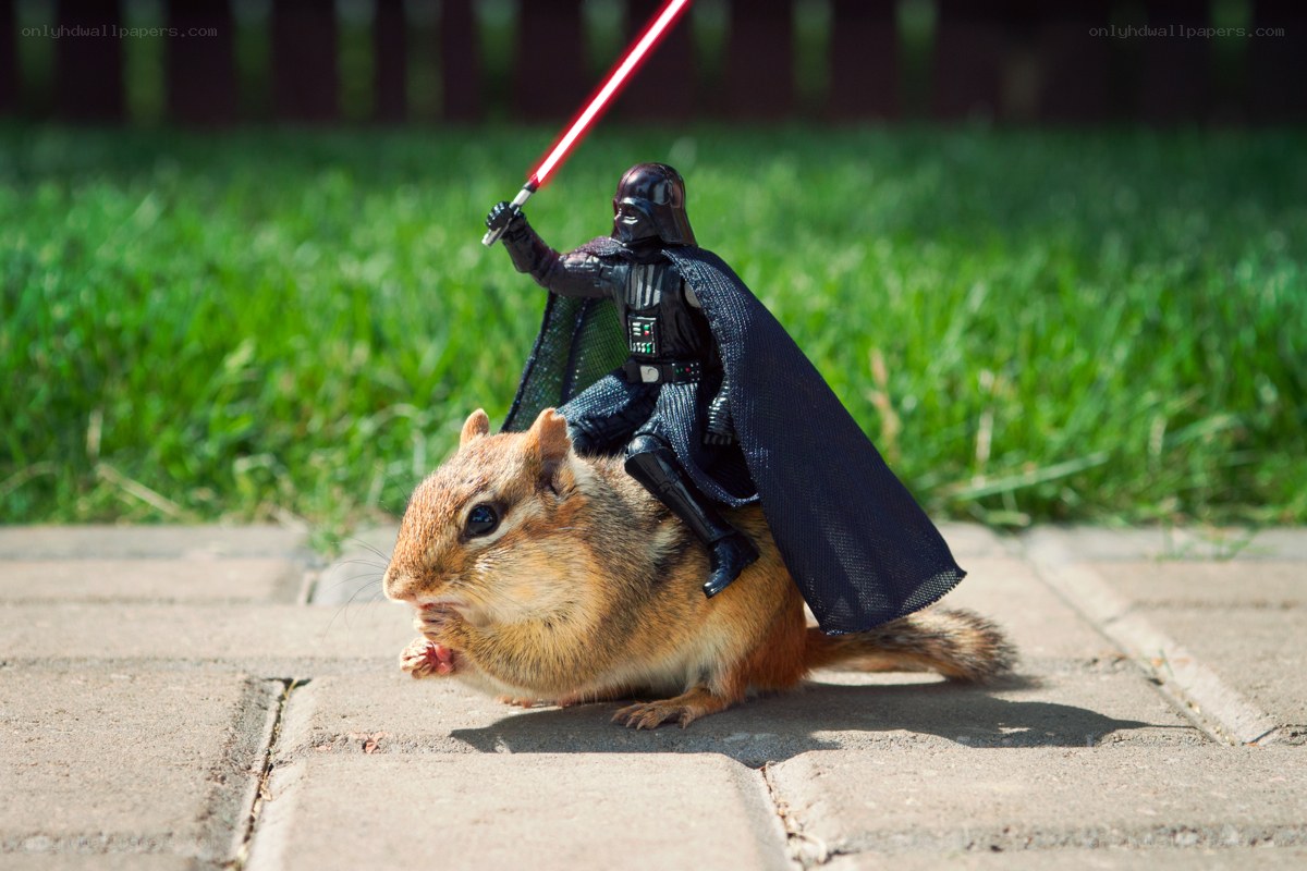 Darth Vader on a chipmunk