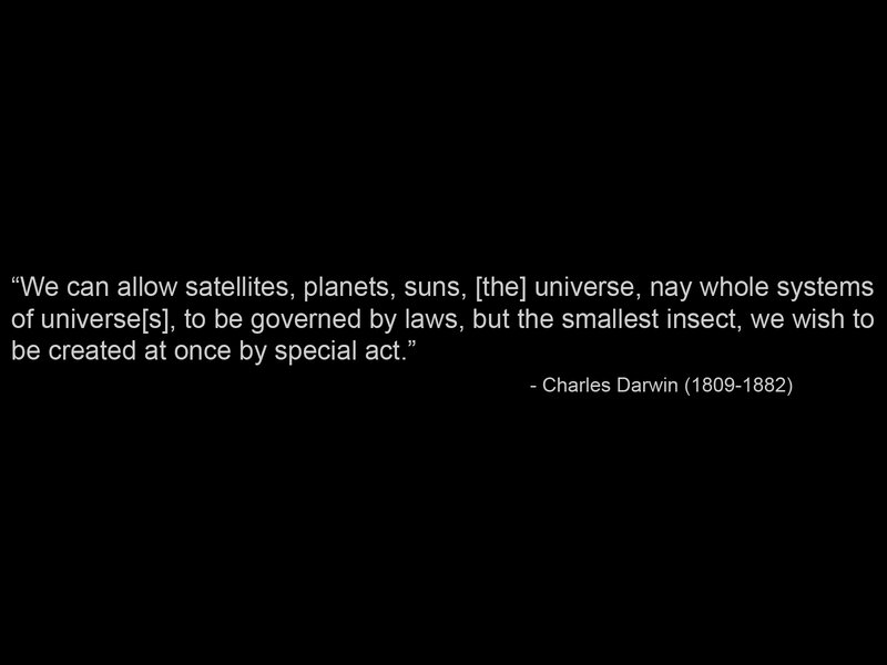 Darwin quote on creation