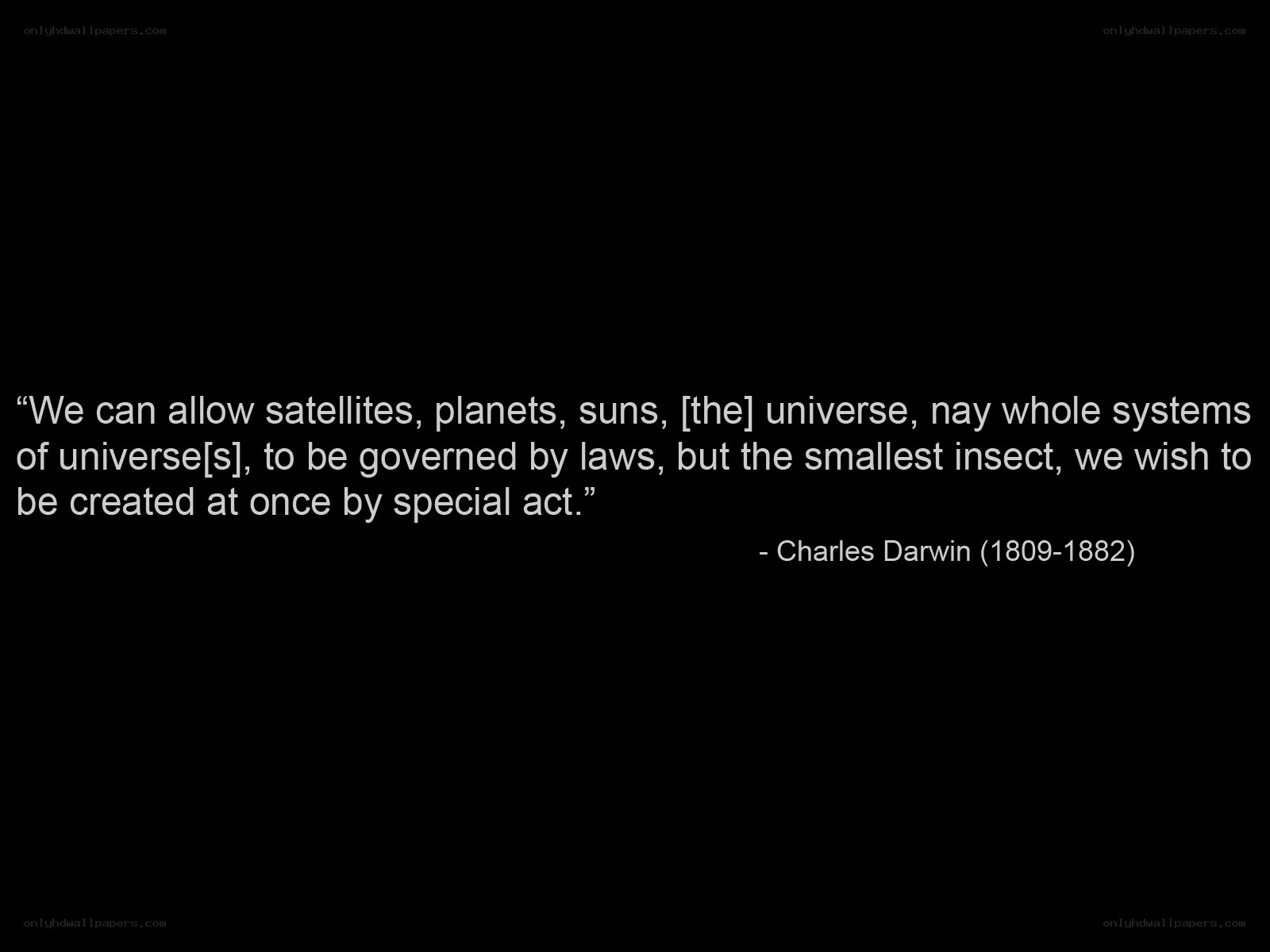 Darwin quote on creation