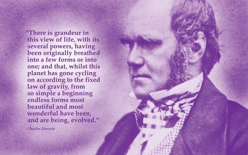 Darwin quote on evolution