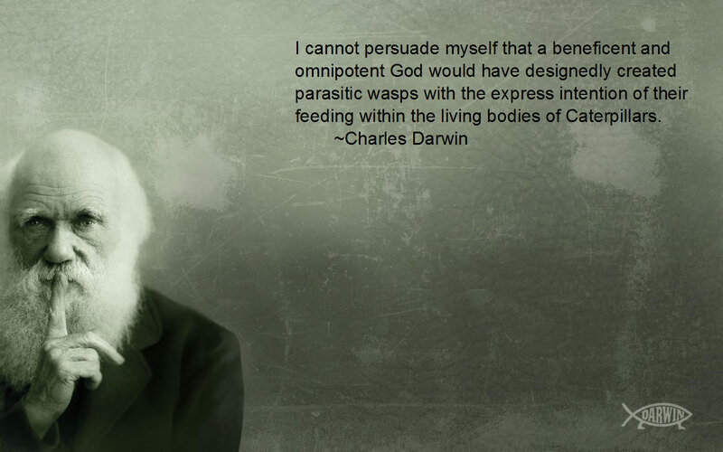 Darwin quote on wasps