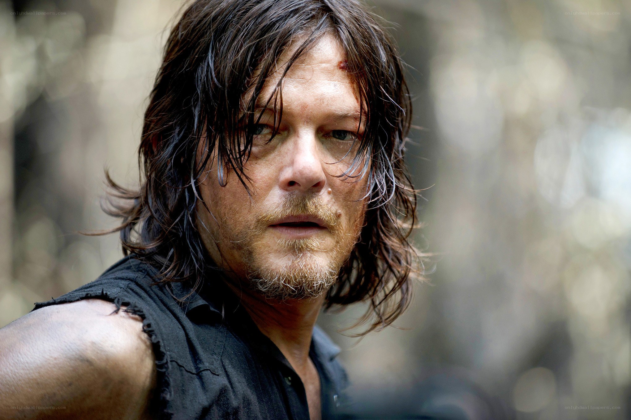 daryl dixon in forest