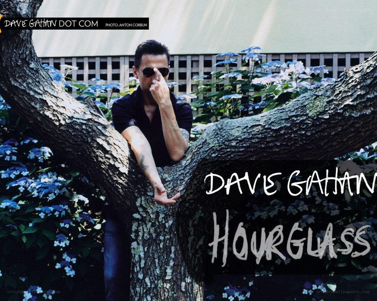 Dave Gahan in garden