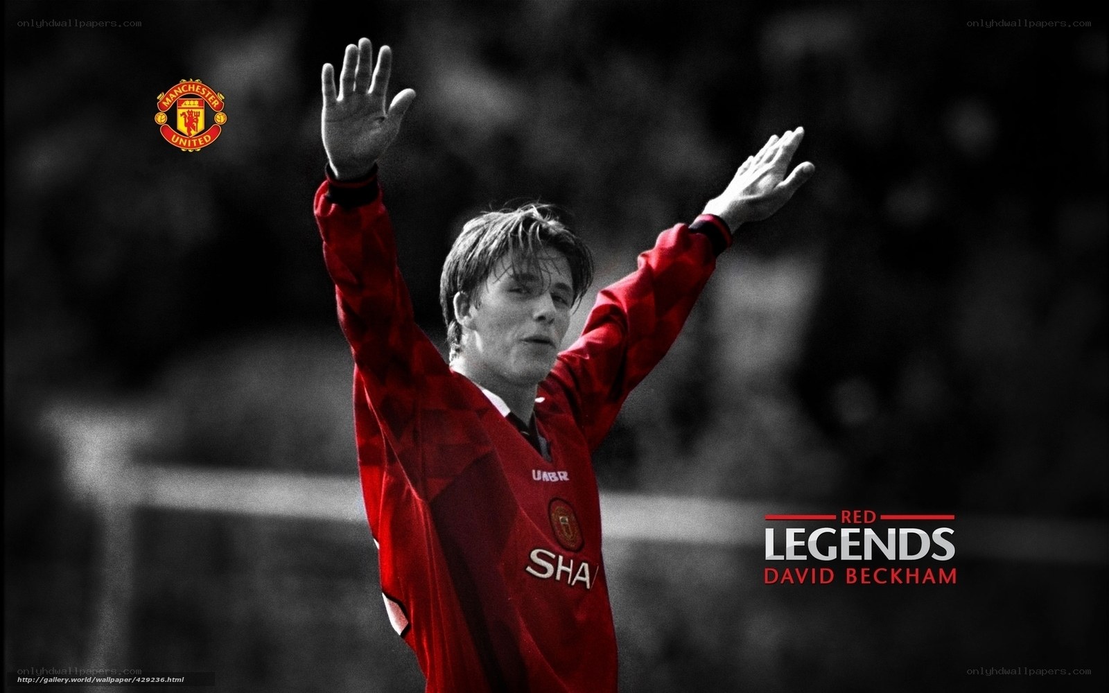 David Beckham Manchester United