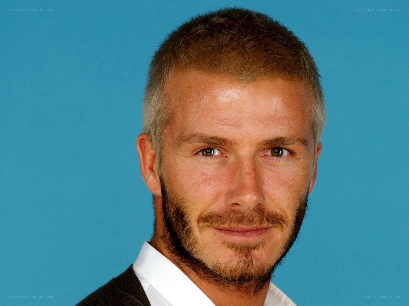 David Beckham portrait