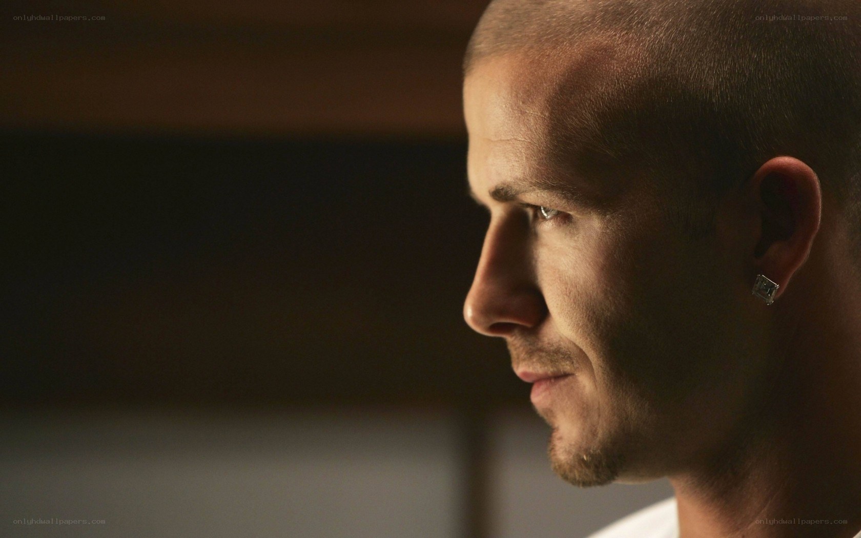 David Beckham profile portrait
