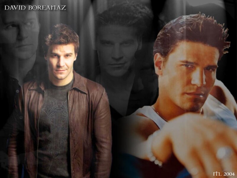 David Boreanaz collage