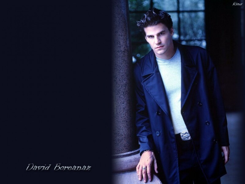 David Boreanaz portrait