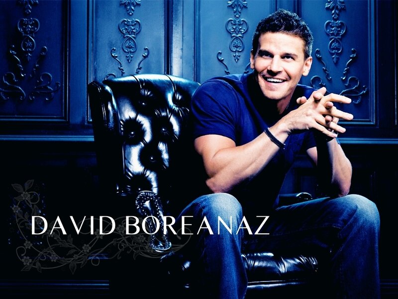 David Boreanaz portrait