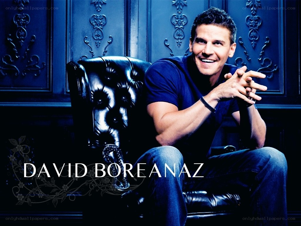 David Boreanaz portrait