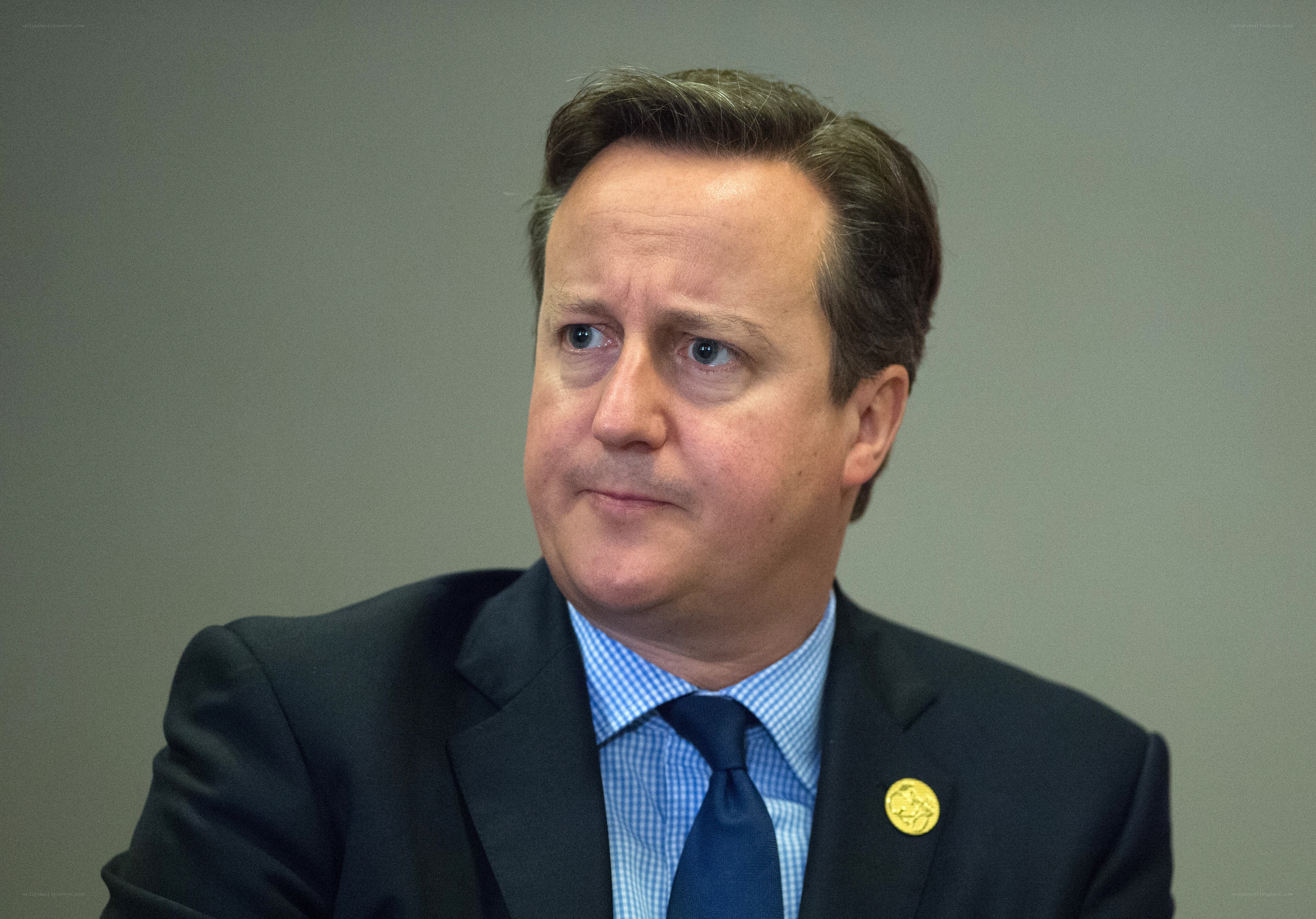 David Cameron in formal attire
