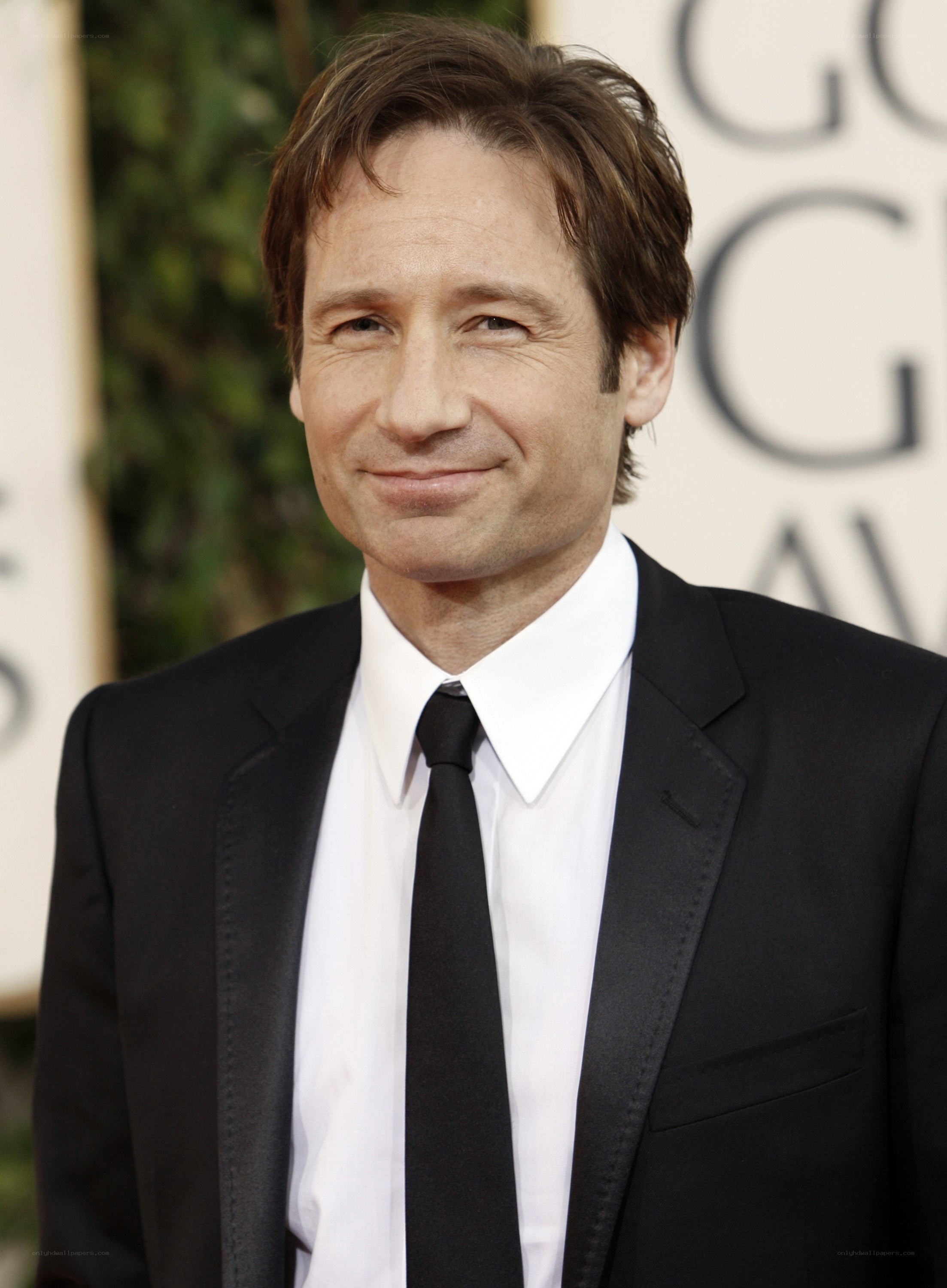 David Duchovny at awards event