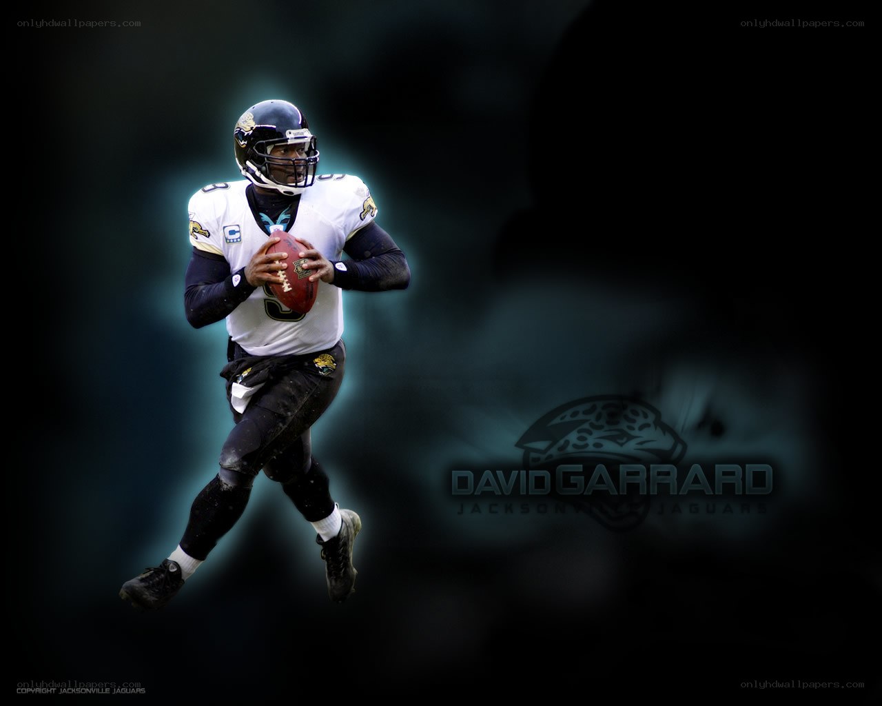 David Garrard in action